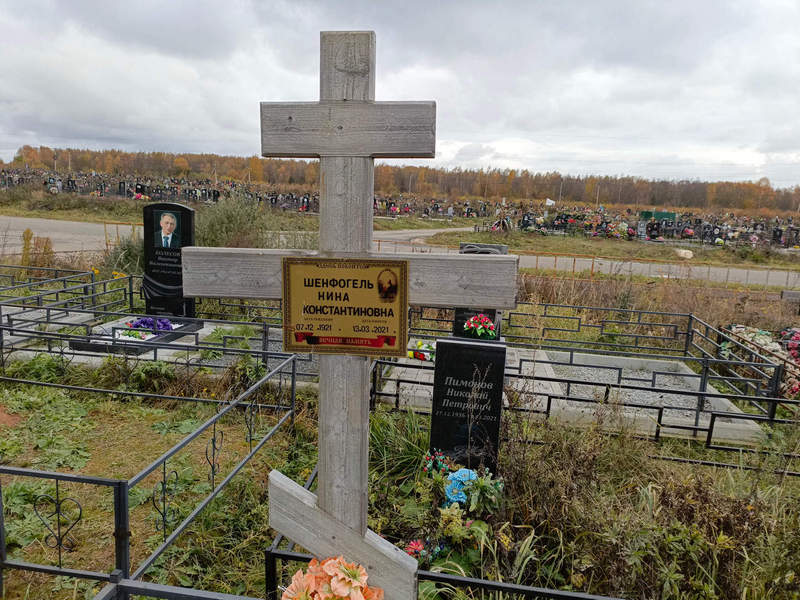 Шенфогель