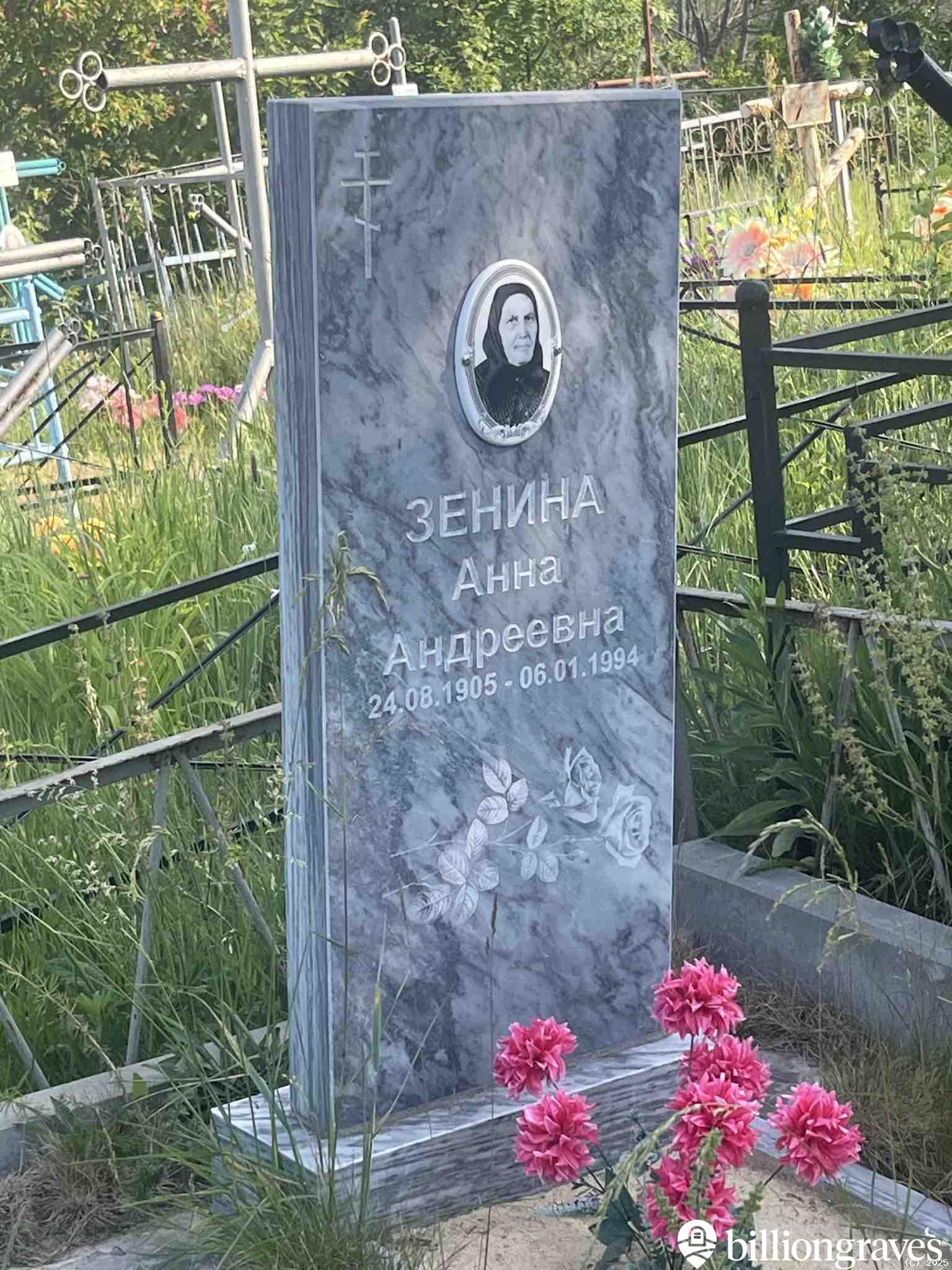 Зенина Анна Андреевна