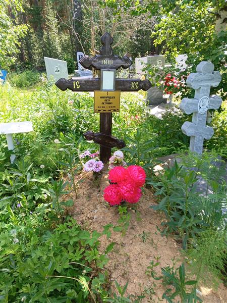 Новгородцев Петр Петрович