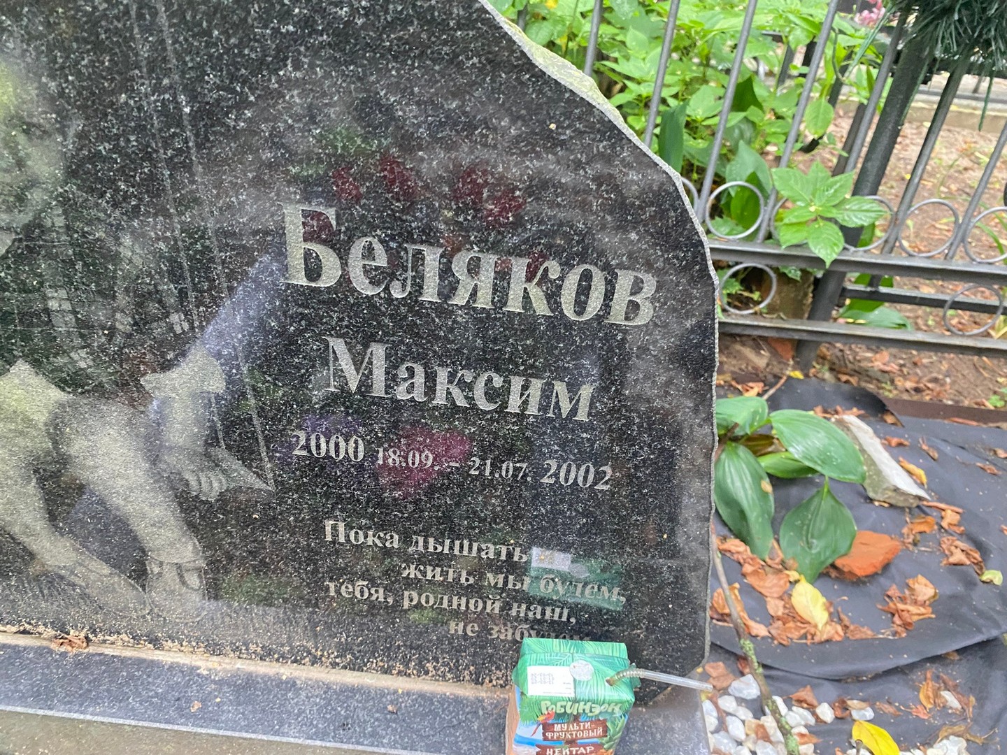 Беляков Беляков
