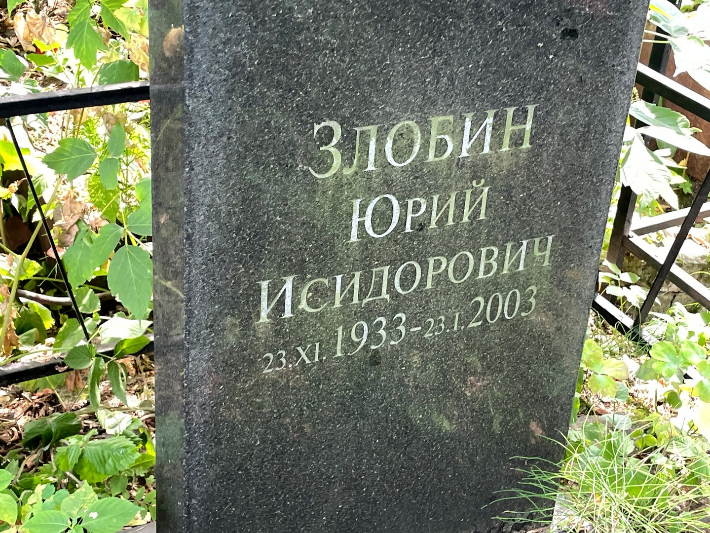 Злобин