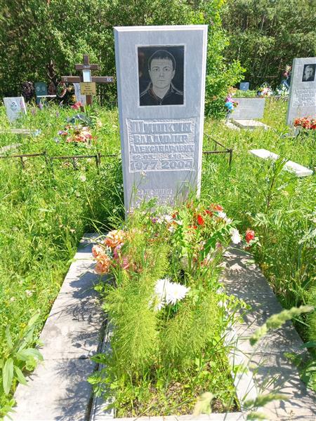 Шишкин Владимир Александрович