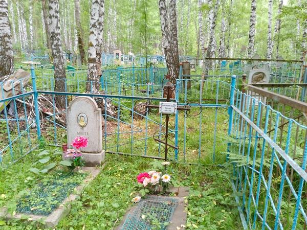 Дешина Анюта