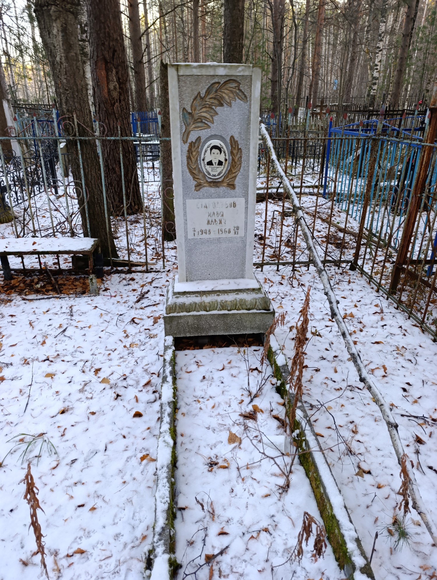 Стародубов Илья Ильич