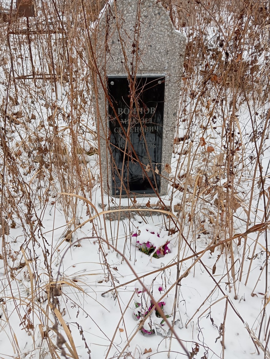Воинов Михаил Семёнович