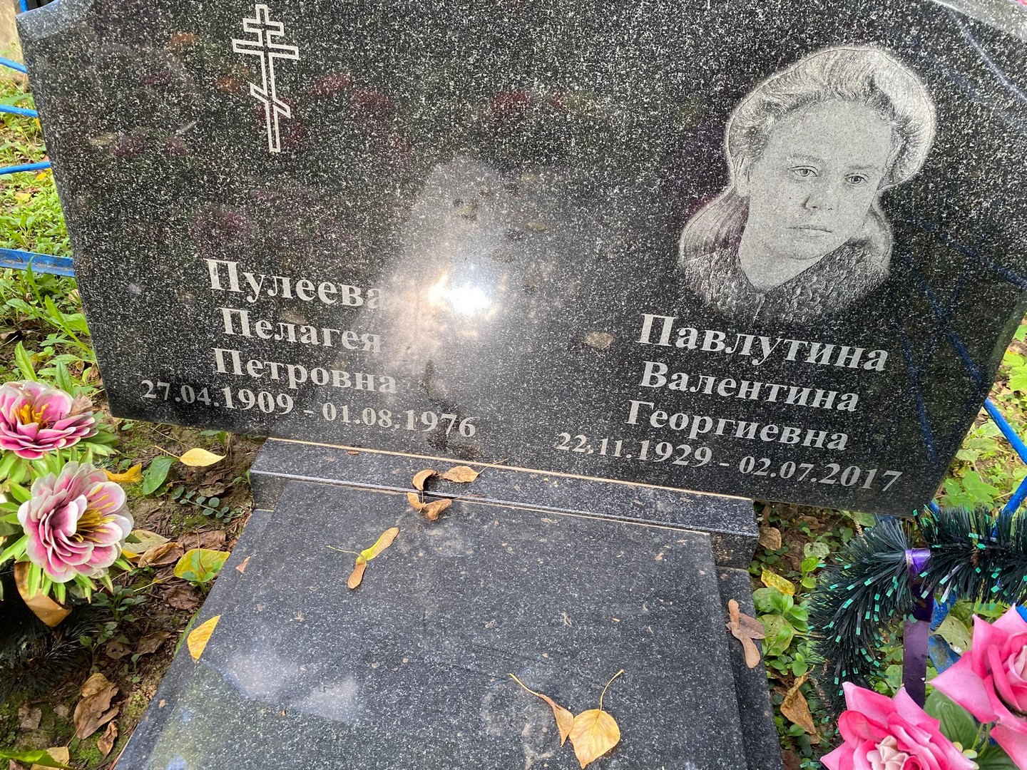 Павлутина