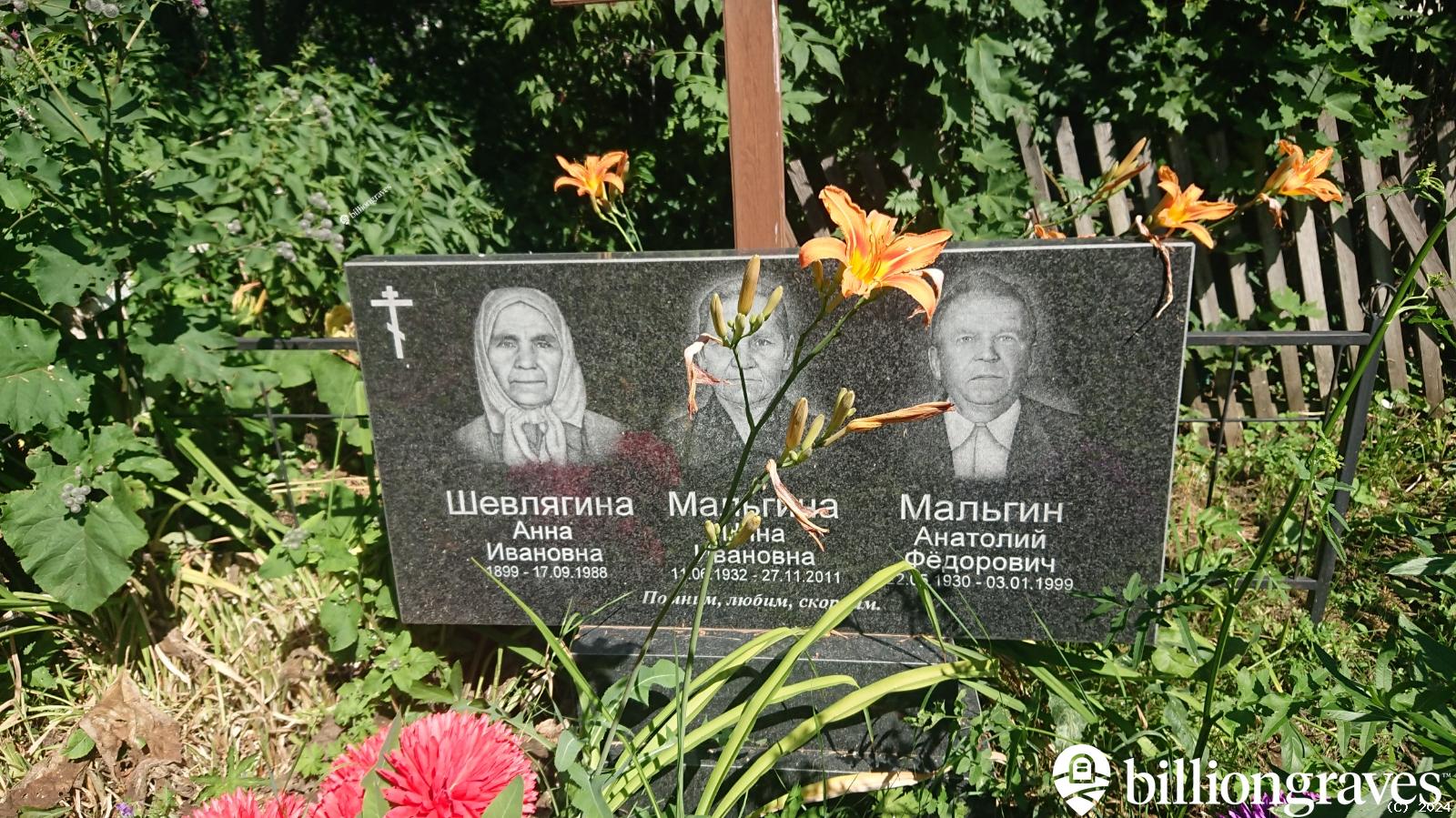 Шевлягина Анна Ивановна
