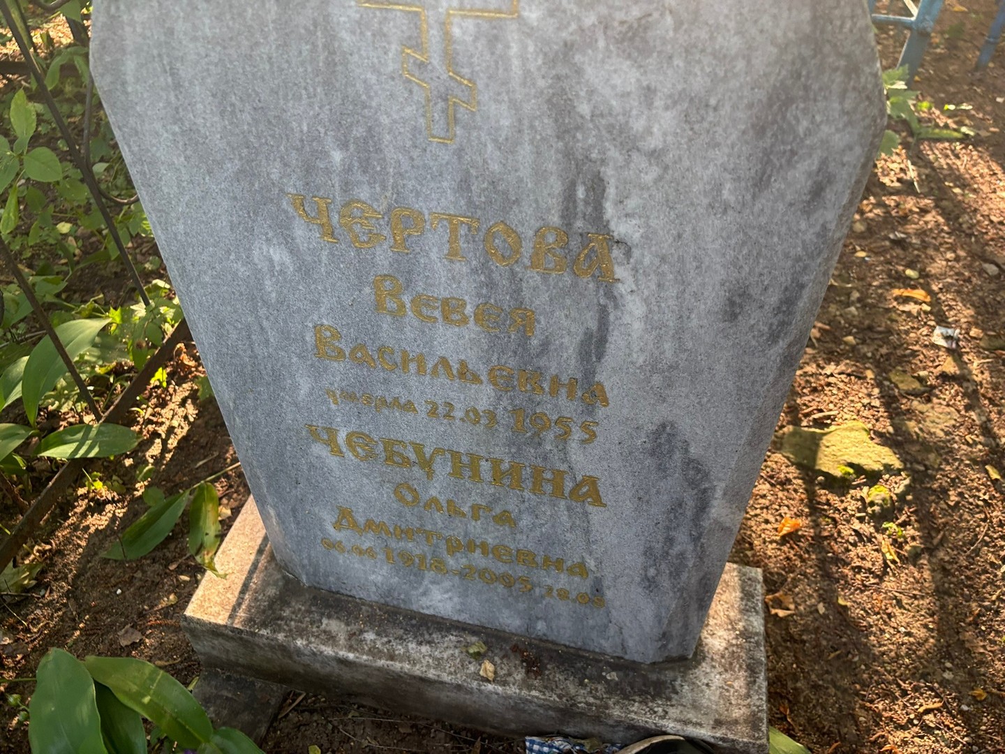 Вевея Чертова Васильевна
