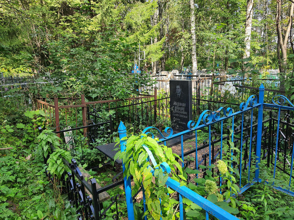 Айдинян Аркадий Самвелович