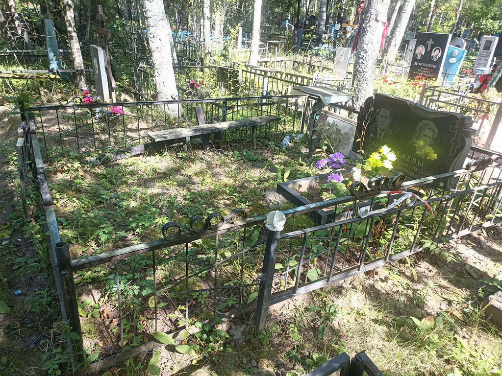Николаев Василий Ефимович