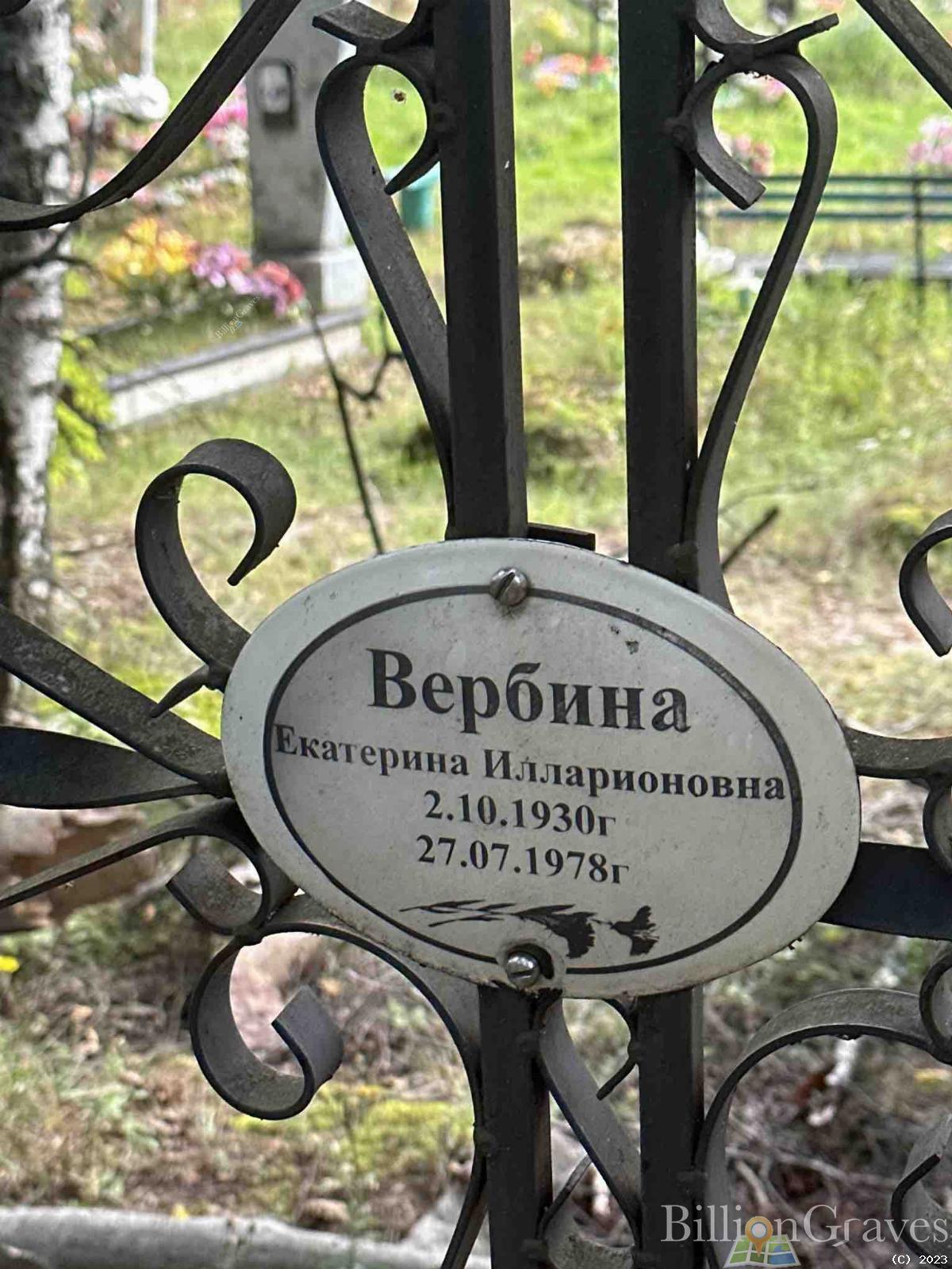 Вербина Екатерина Илларионовна