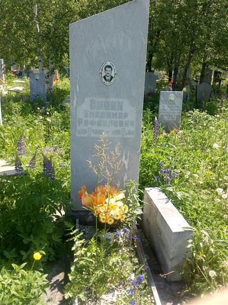 Силин Владимир Рафаилович