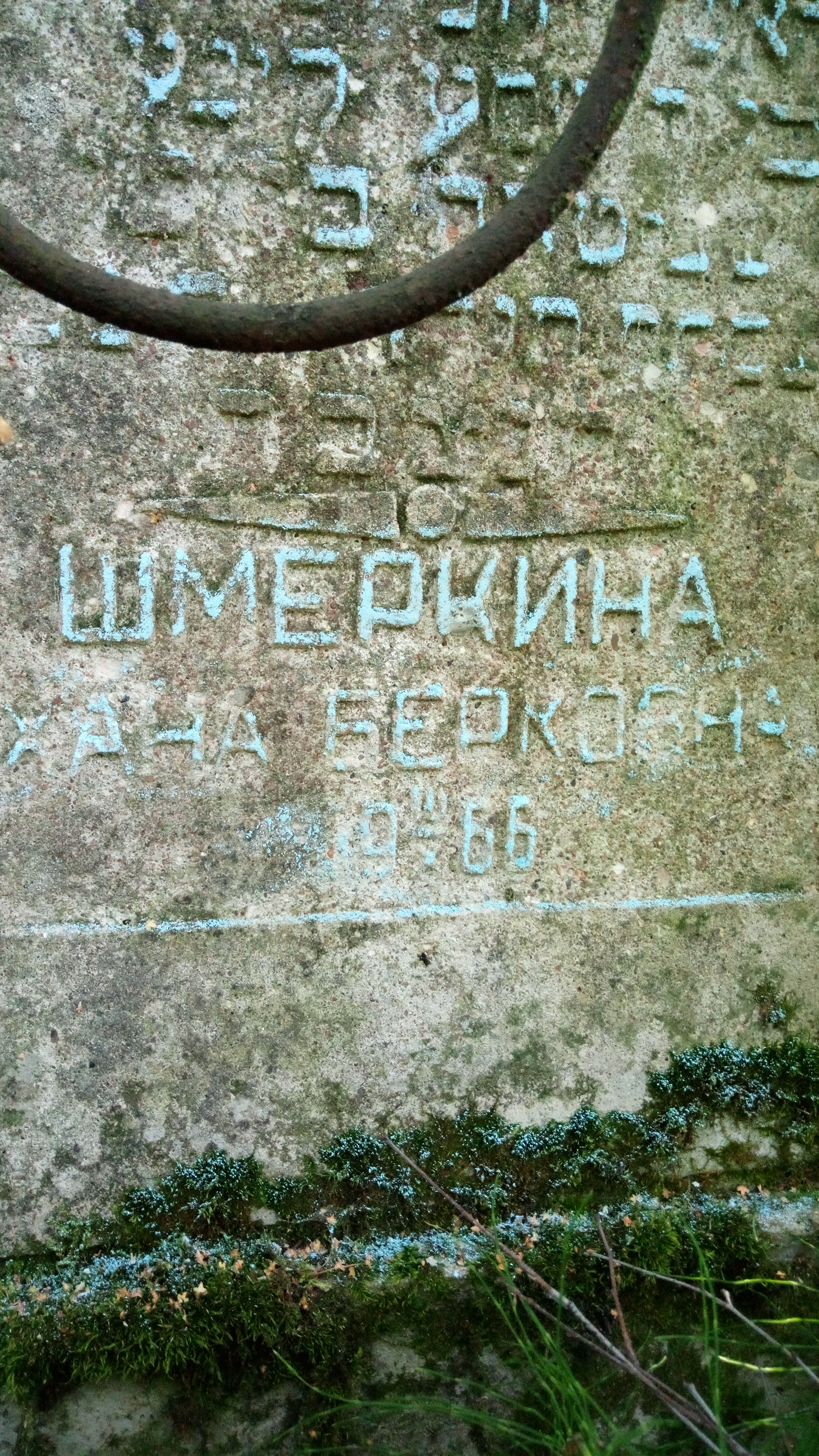 Шмеркина Хана Берковна