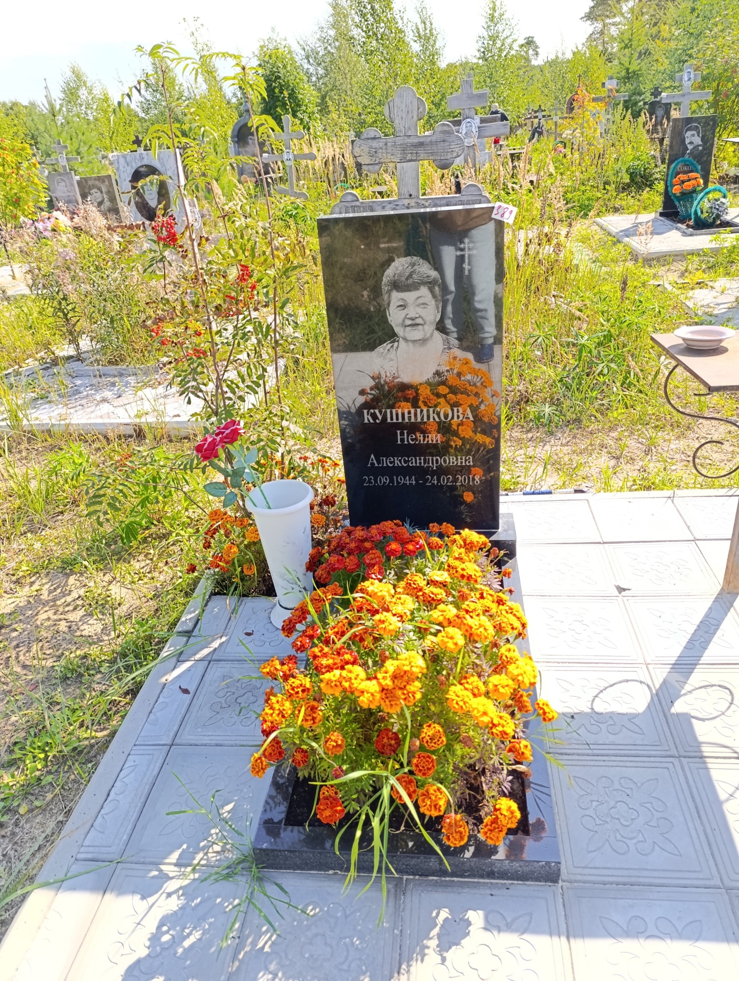 Кушникова Нелли Александровна