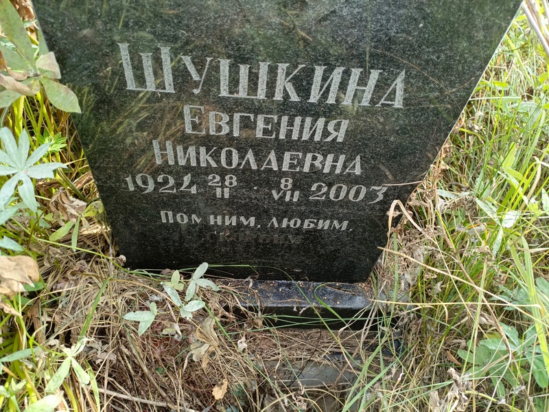 Шушкина Евгения Николаевна