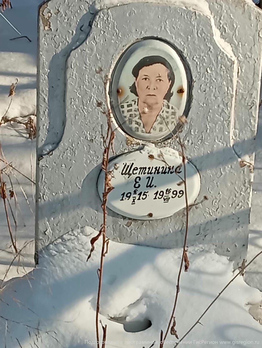 Щетинина Е И