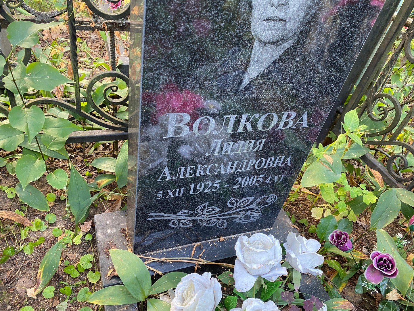 Волкова