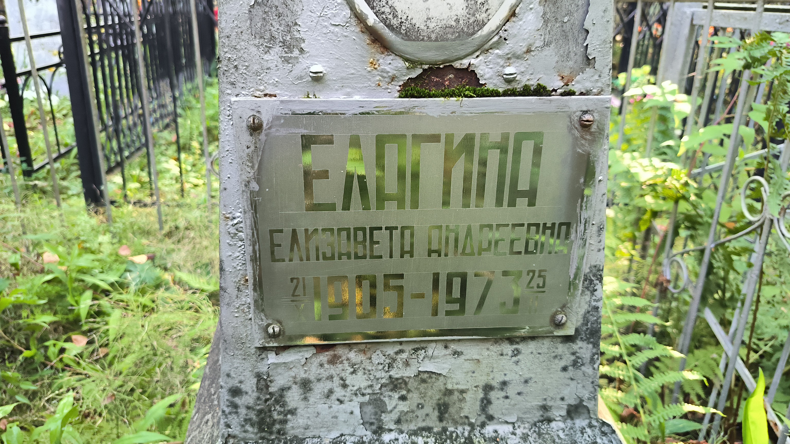 Елагина Елизавета Андреевна
