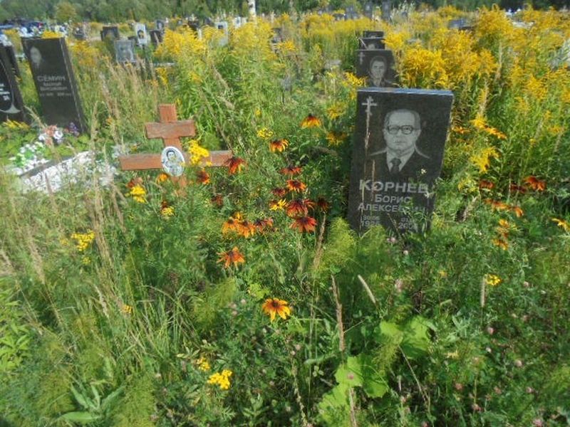 Корнев Борис Алексеевич