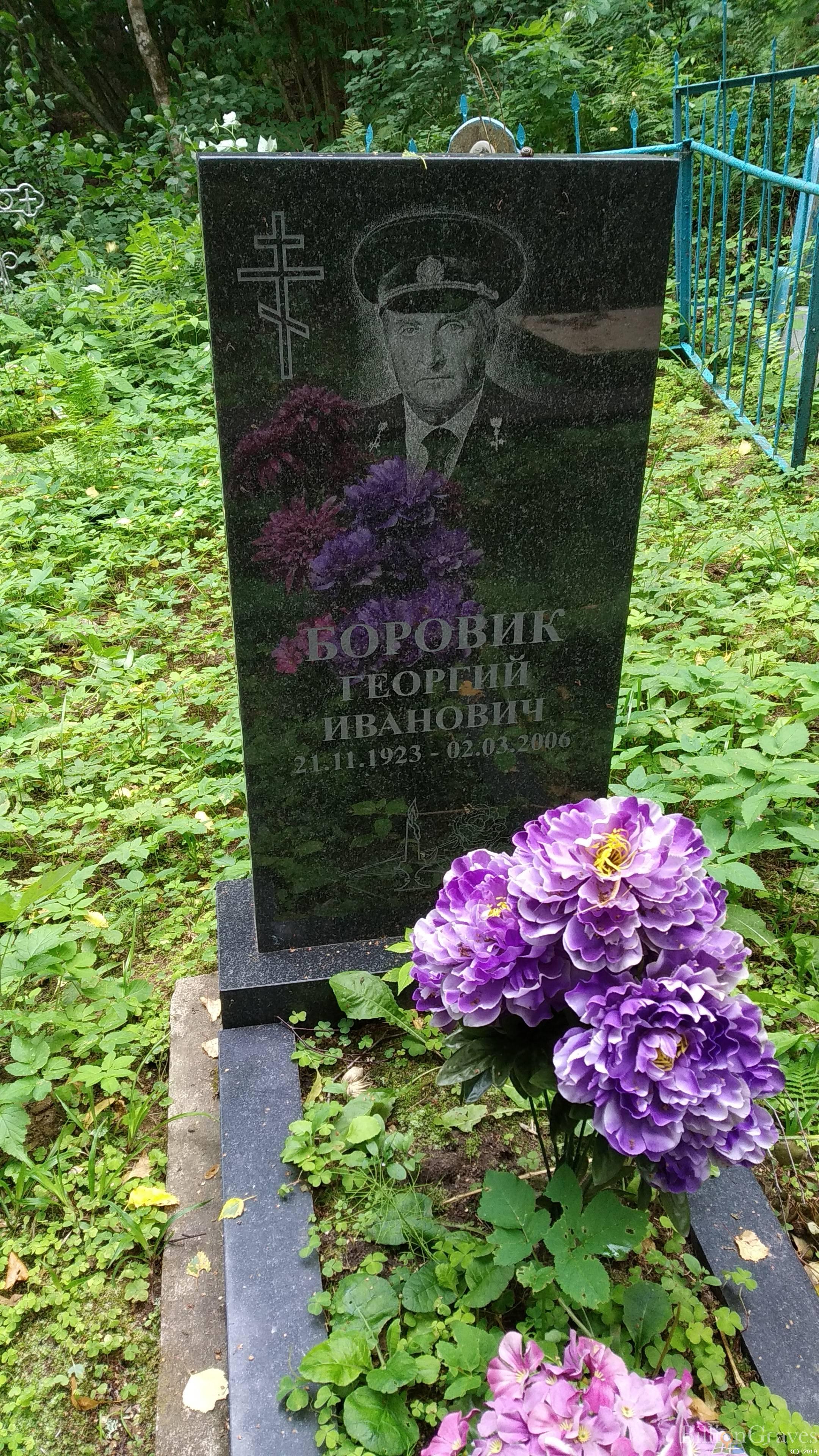 Боровик Георгий Иванович