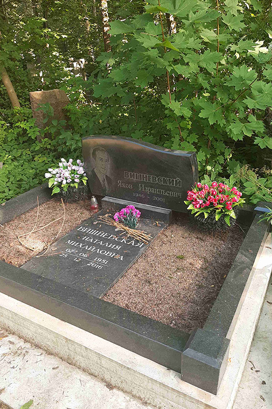 Вишневский Я. И.