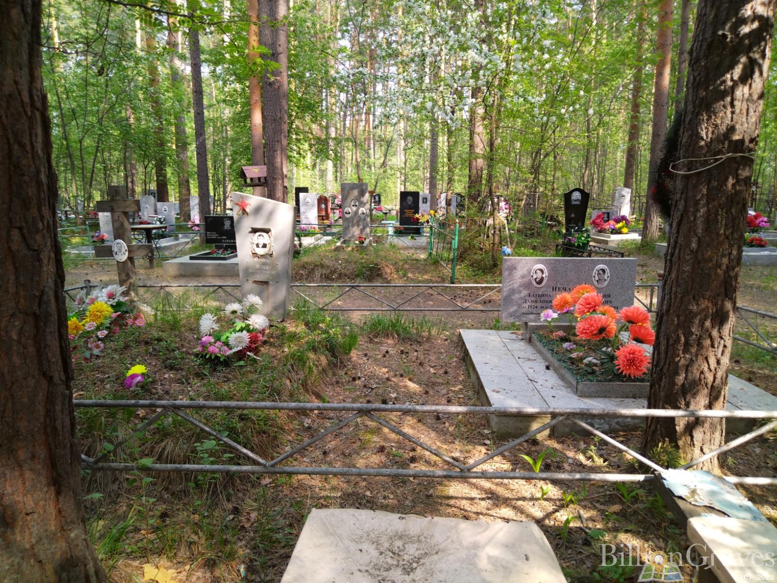 Нечаев Владимир Аркадьевич
