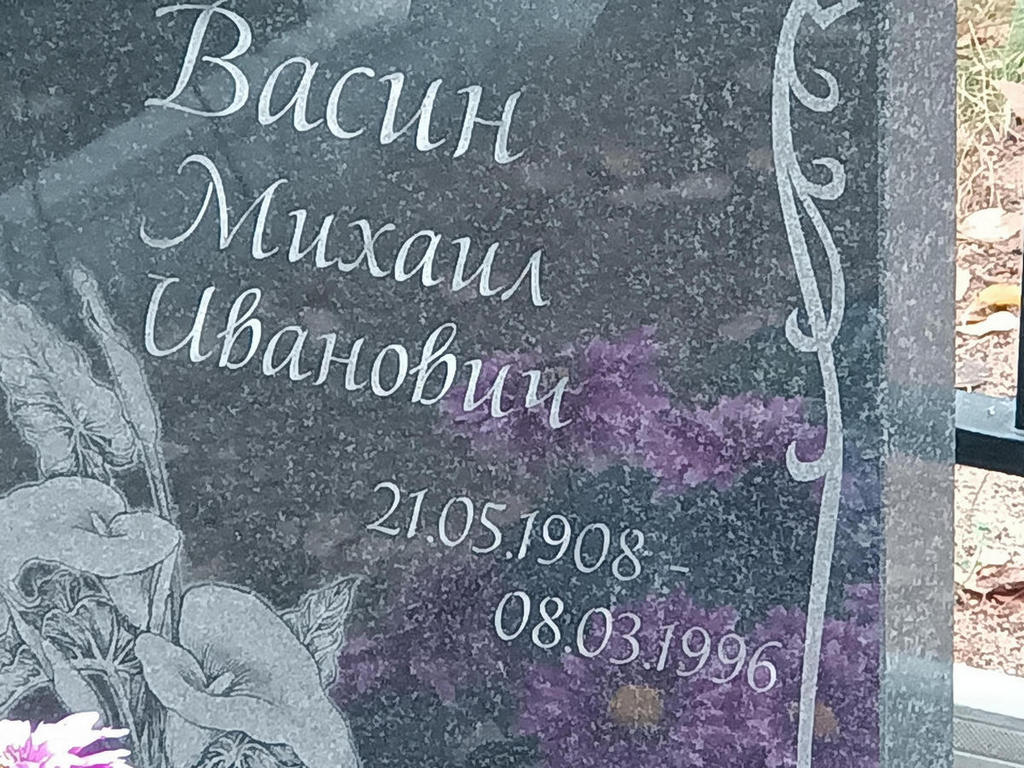 Васин Михаил Иванович