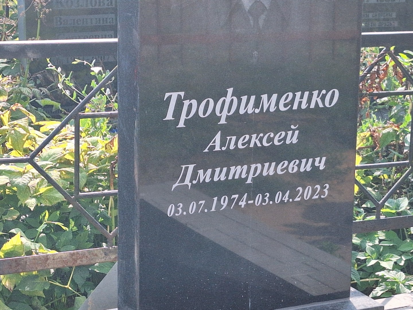 Трофименко