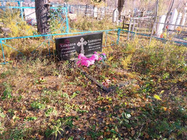 Холодов Николай Иванович