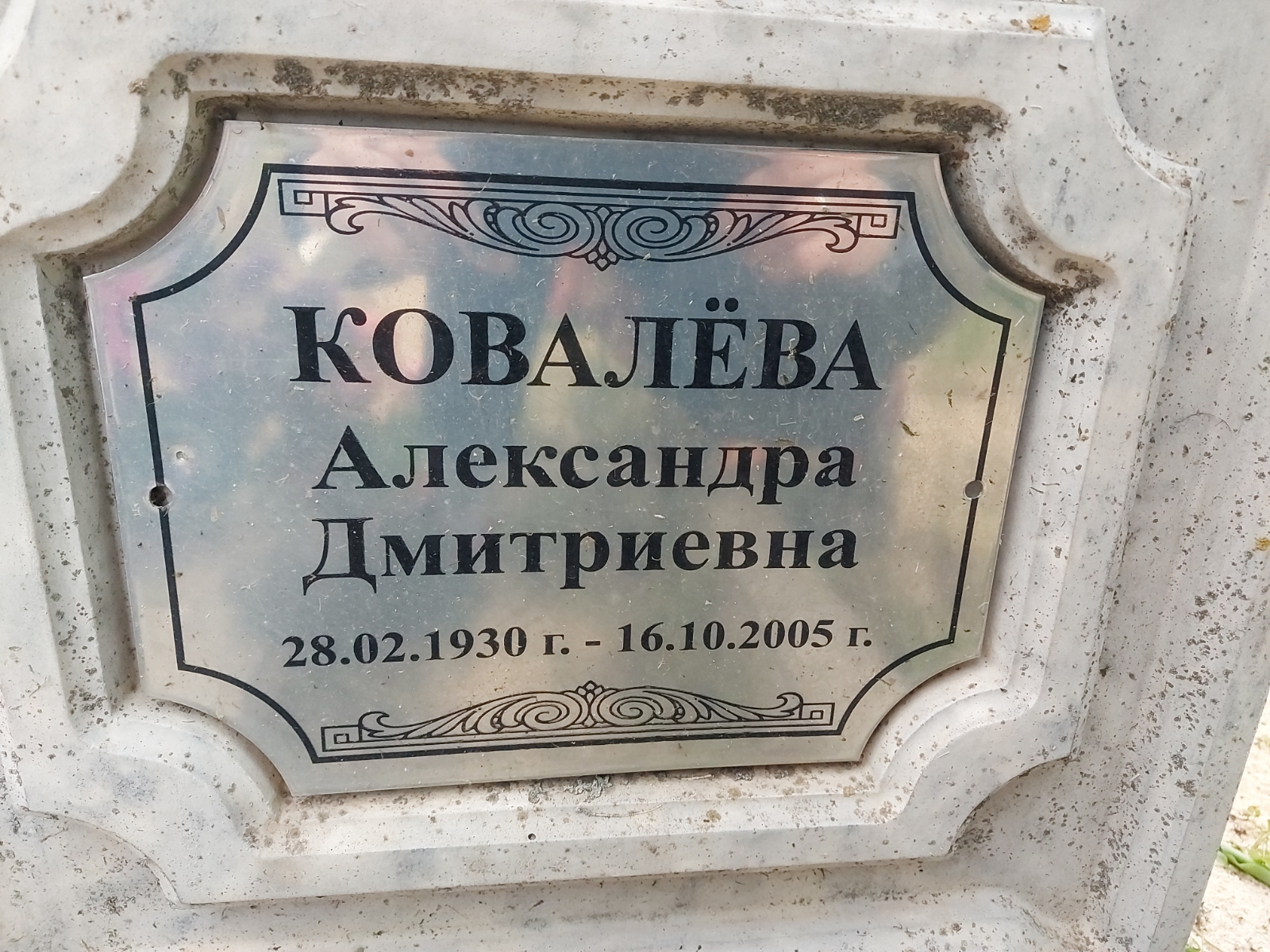 Ковалёва Александра Дмитриевна