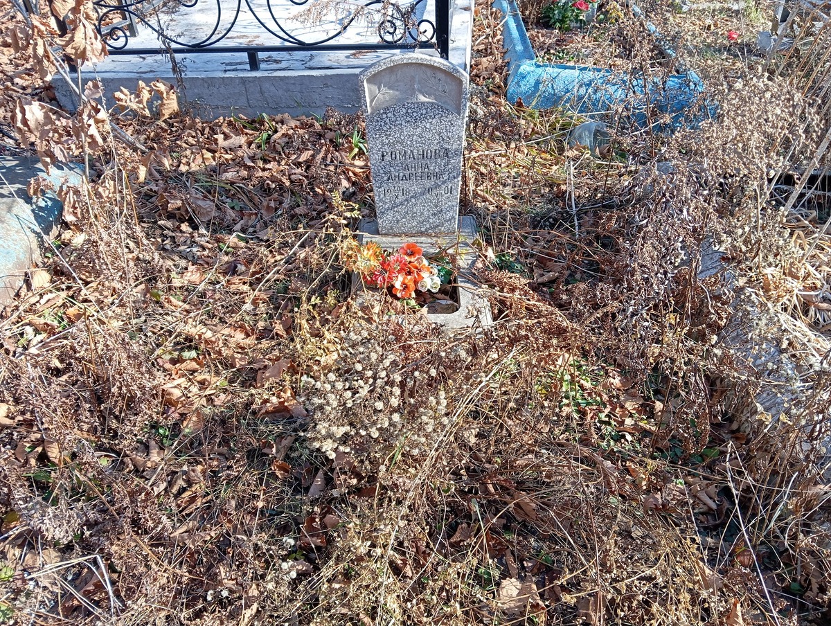 Романова Анна Андреевна