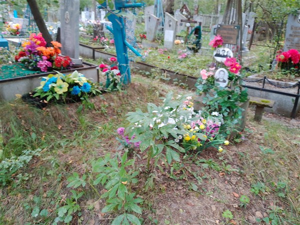 Лебедева Зоя Даниловна
