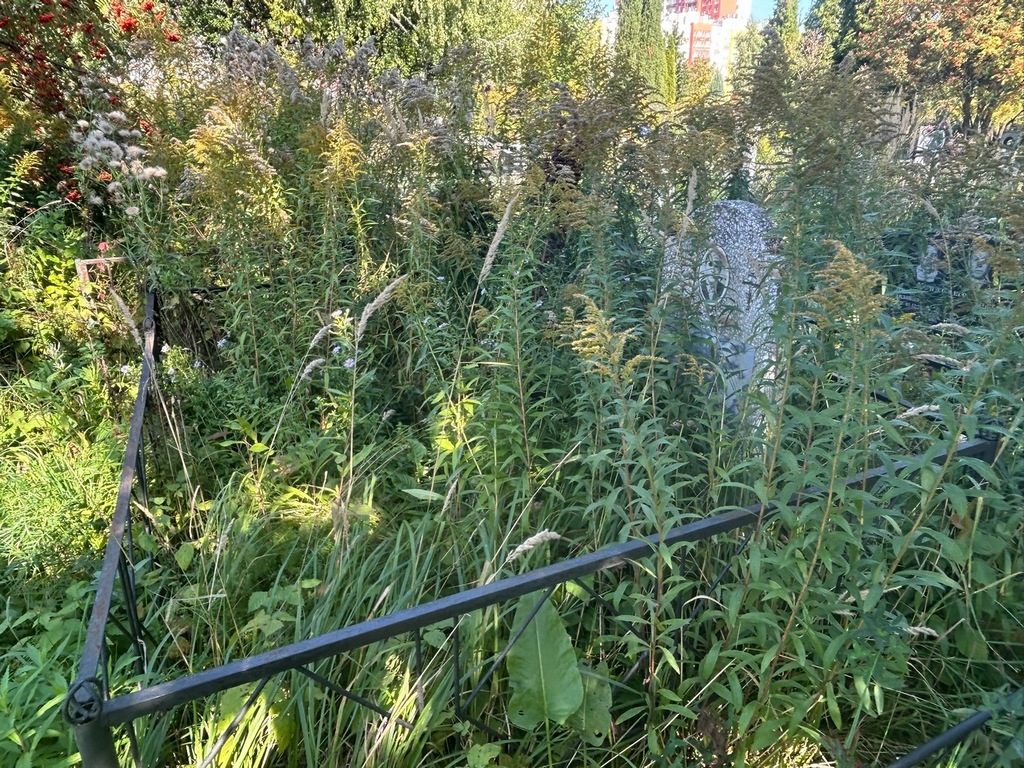 Толстых Павел Фролович