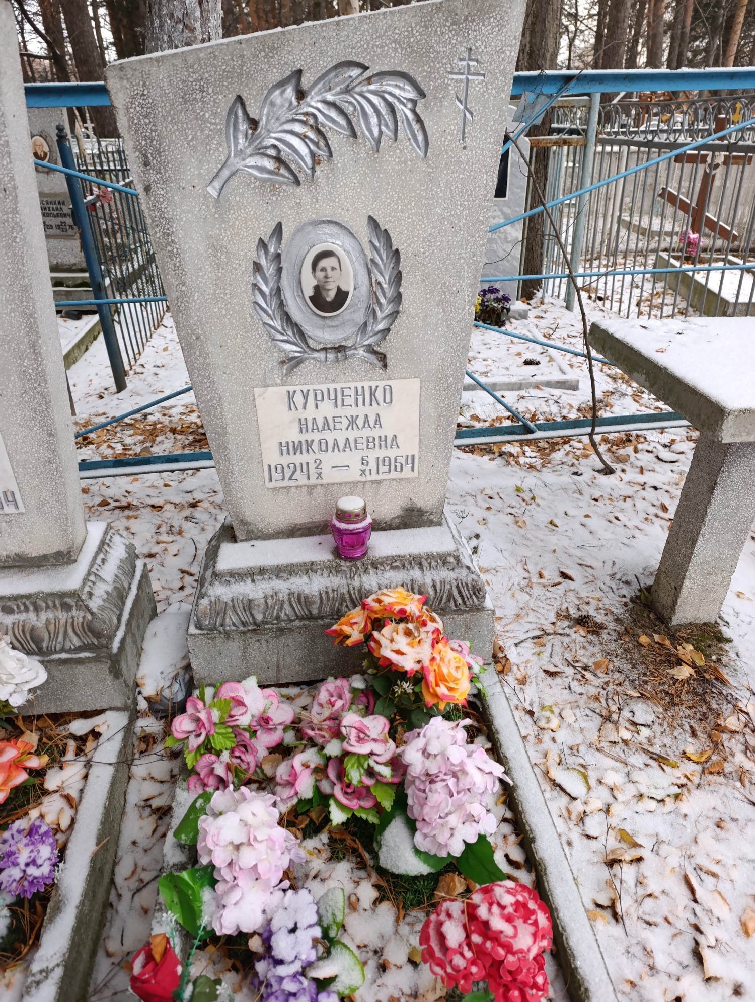 Курченко Надежда Николаевна