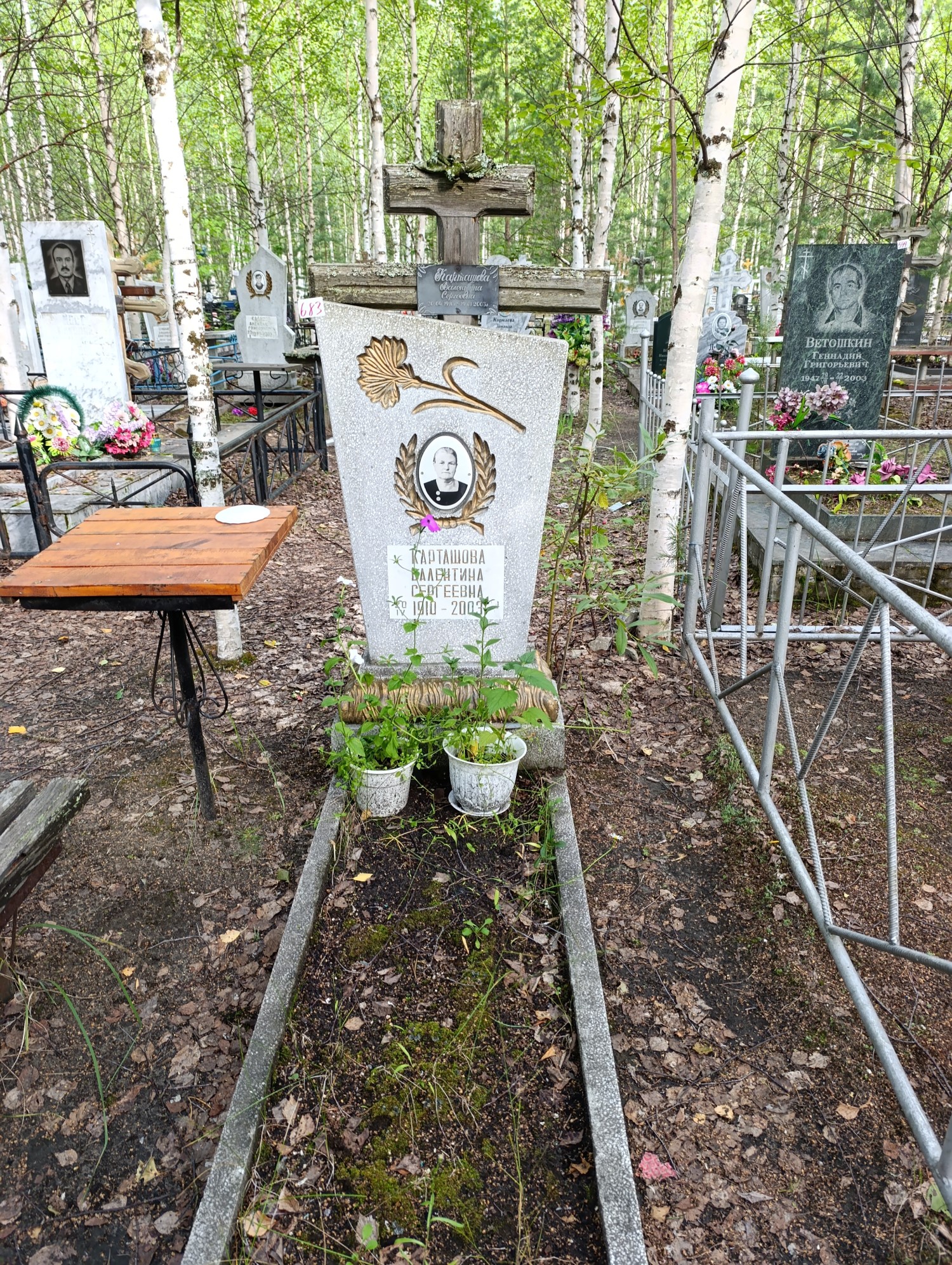 Карташова Валентина Сергеевна