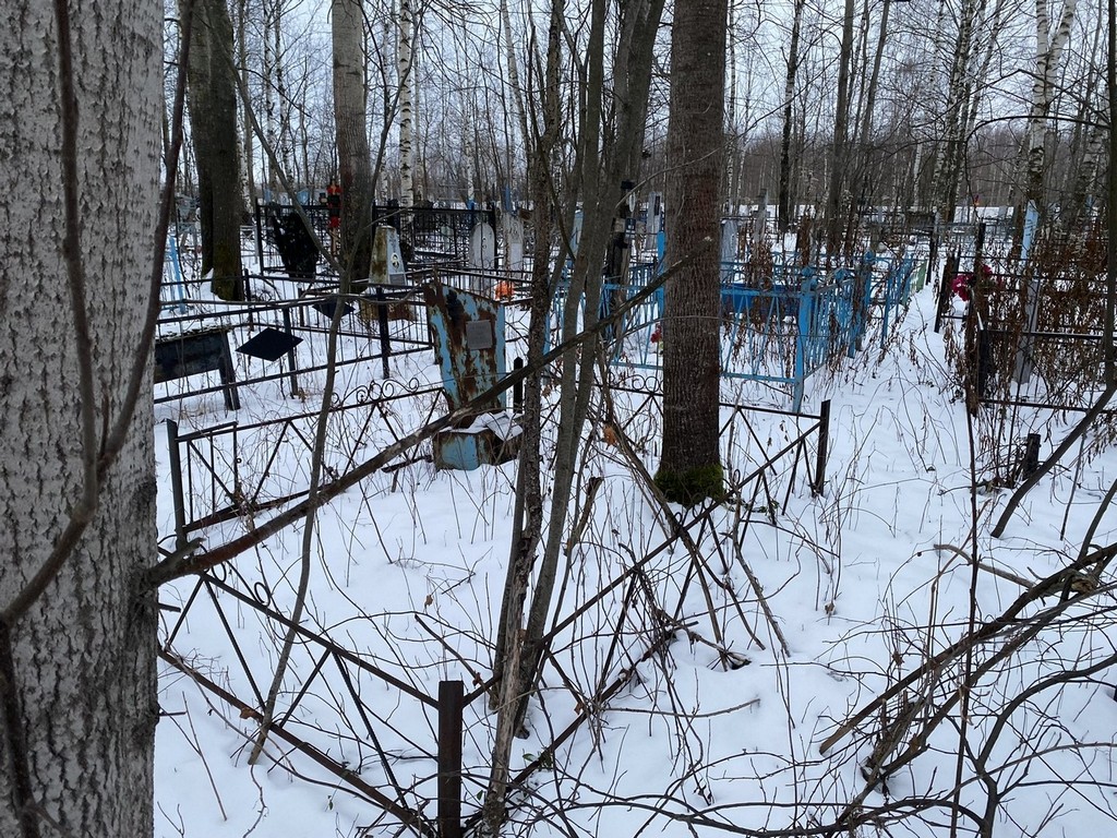 Добрынина Анна Георгиевна