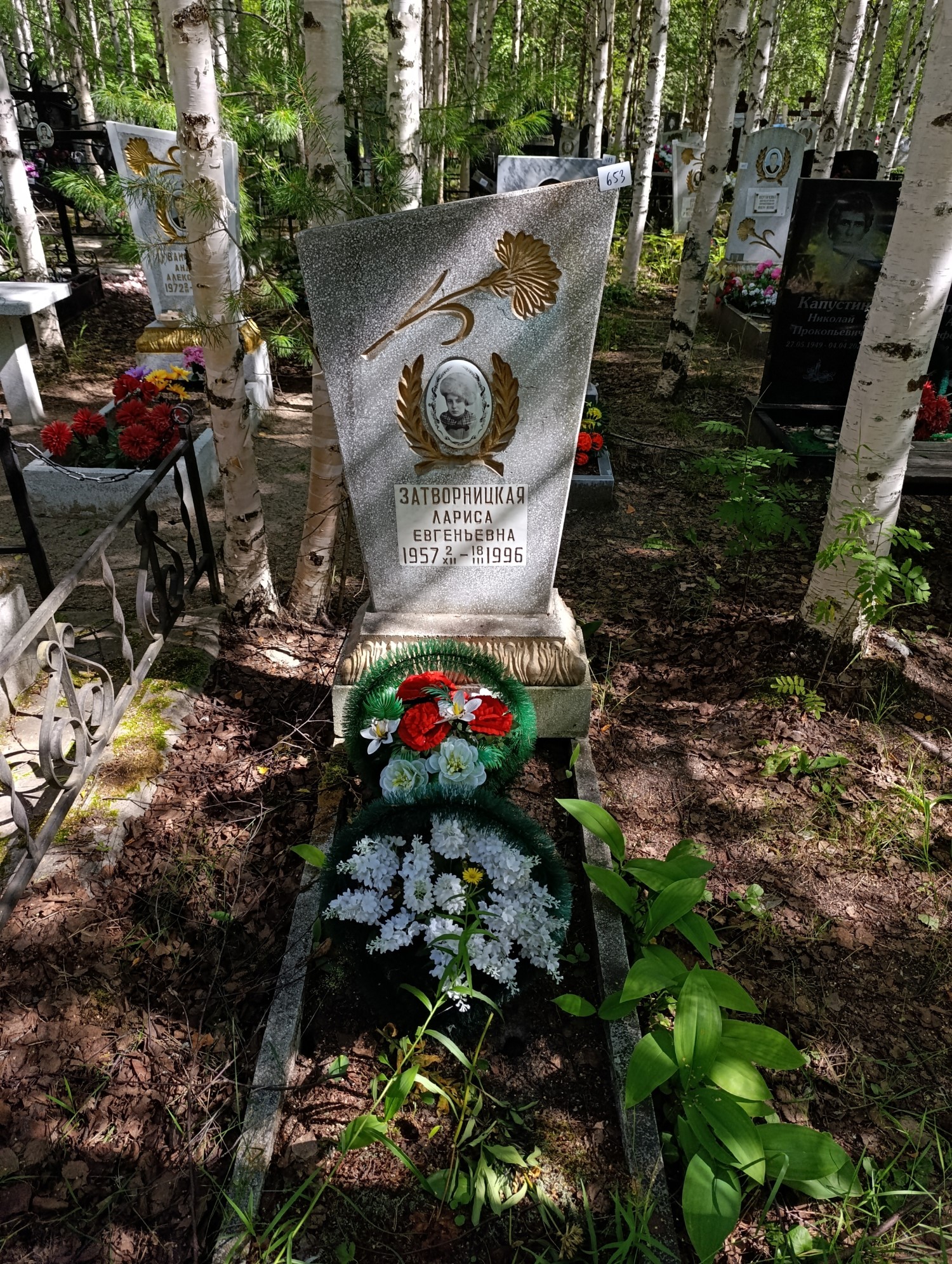 Затворницкая Лариса Евгеньевна