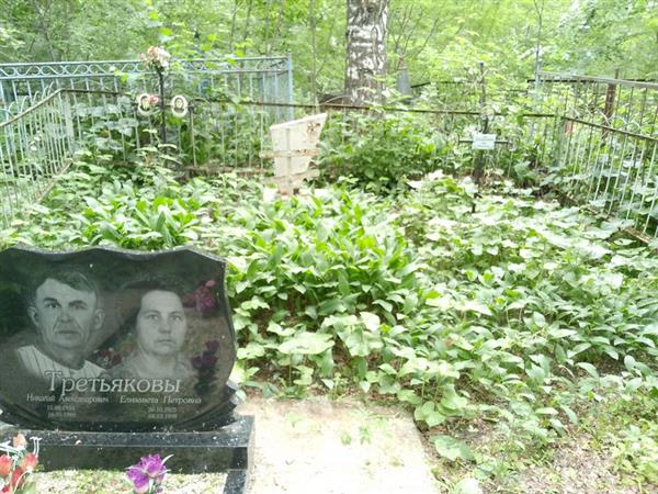 Третьяков Николай Александрович
