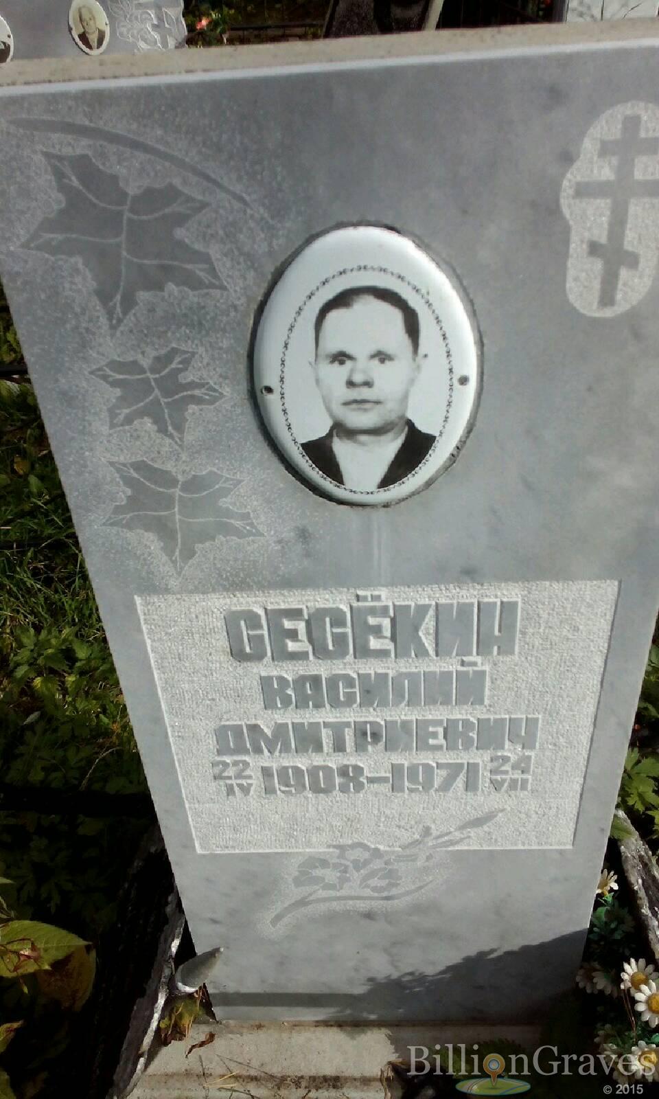Сесёкин Василий Дмитриевич