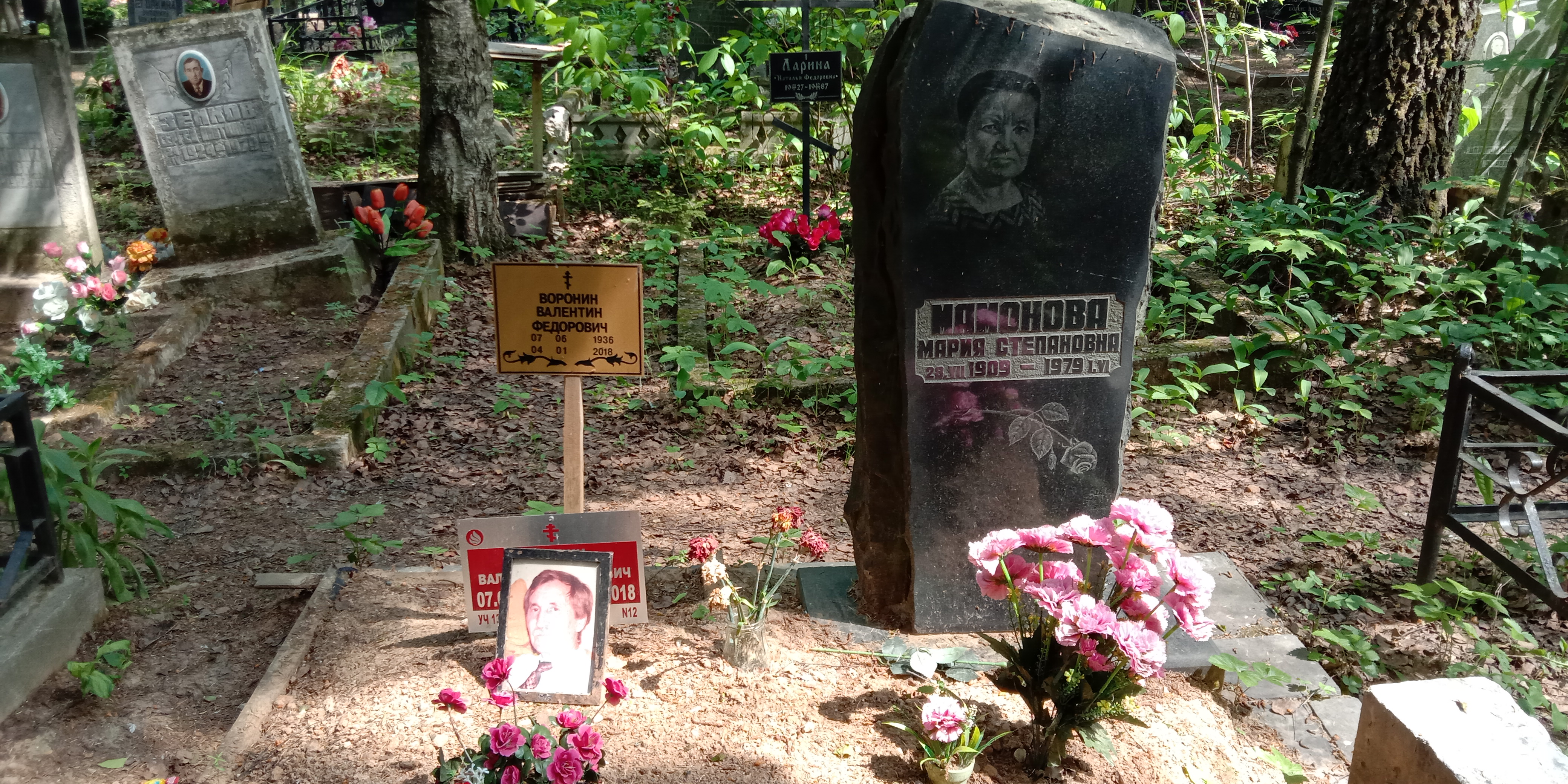 Мамонова Мария Степановна