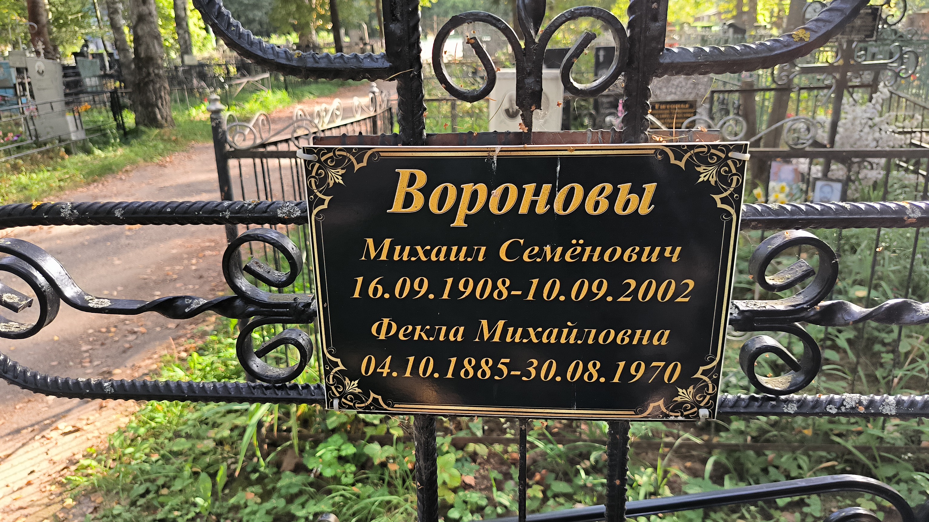 Воронов Михаил Семёнович