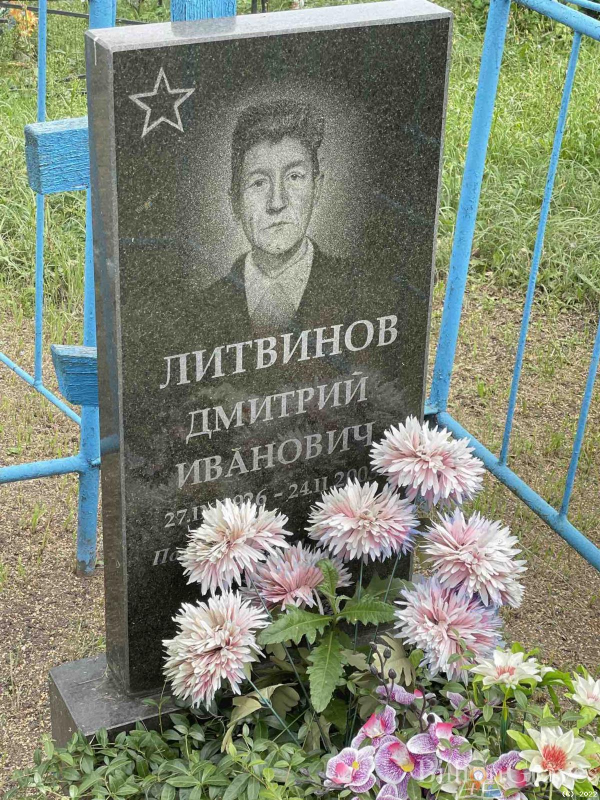 Литвинов Дмитрий Иванович