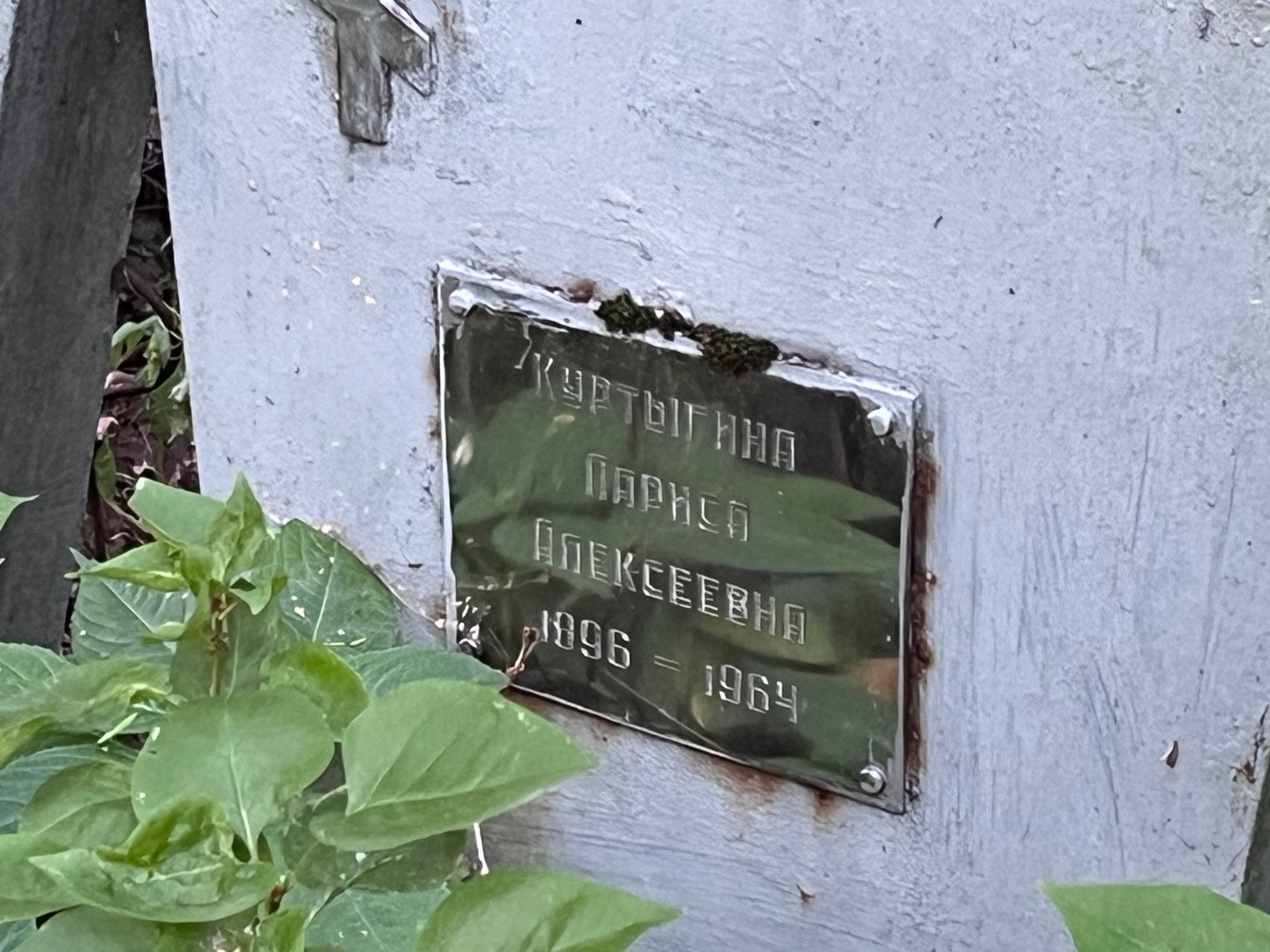 Куртыгина