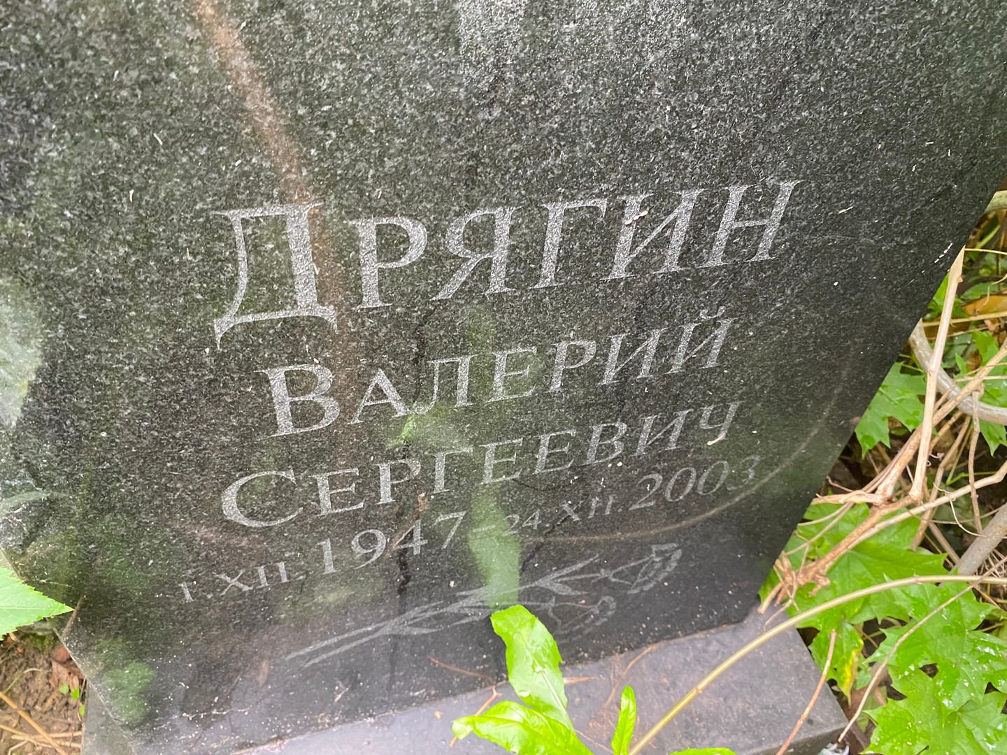 Дрягин