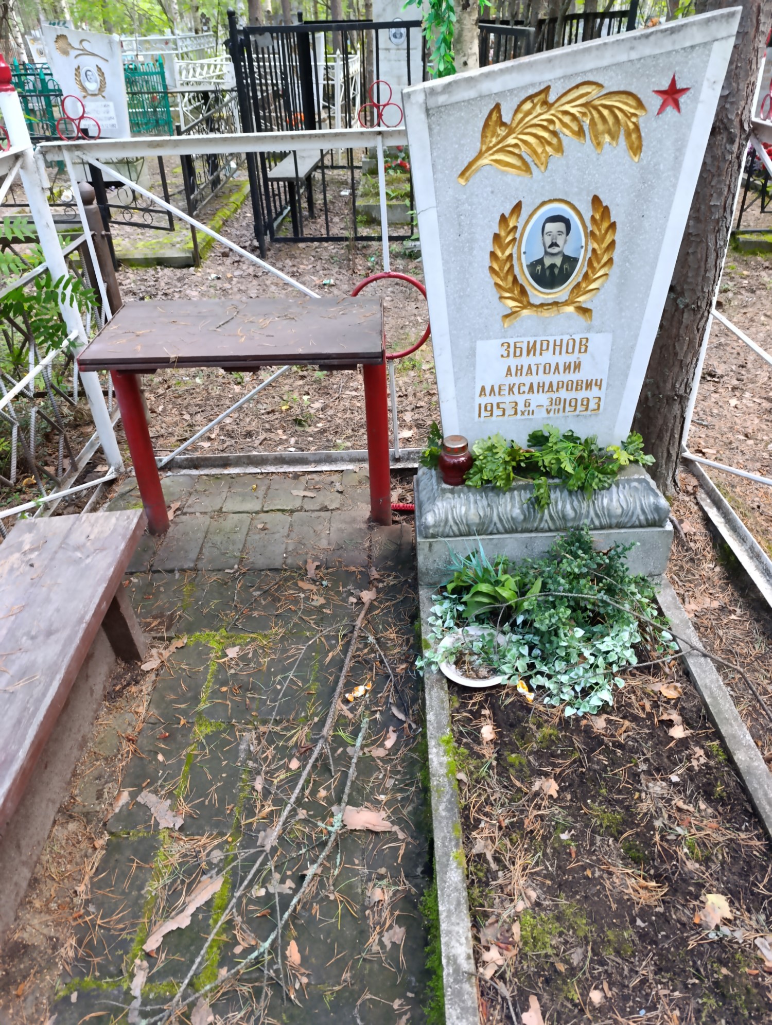 Збирнов Анатолий Александрович