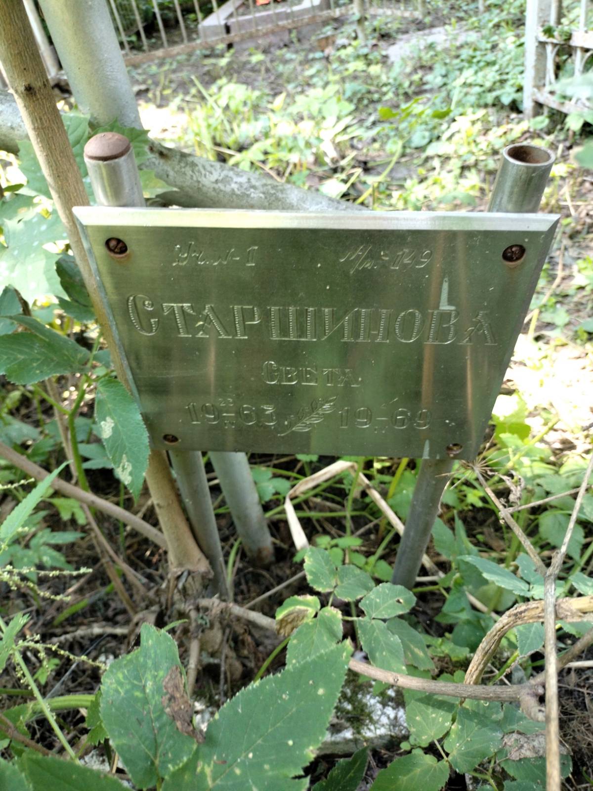 Старшинова Светлана