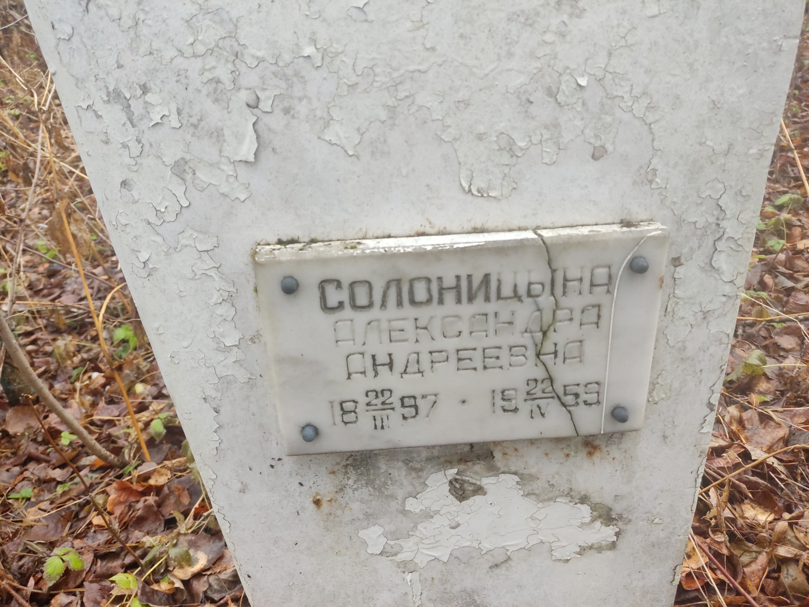 Солоницина Александра Андреевна