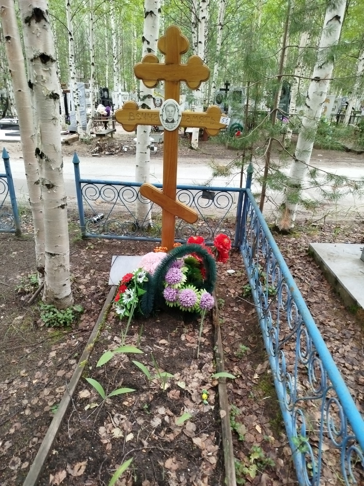 Цубера Людмила Васильевна