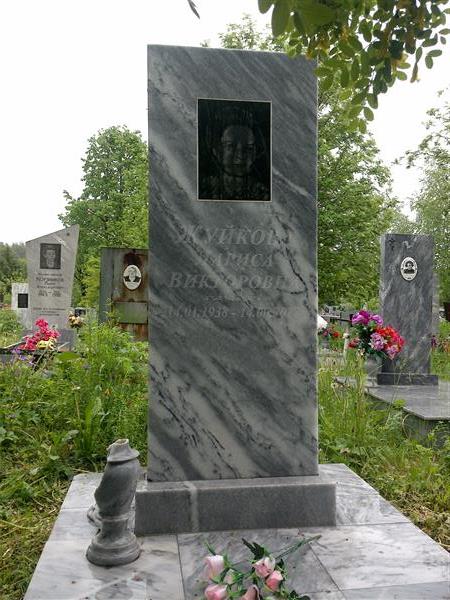 Жуйкова Лариса Викторовна