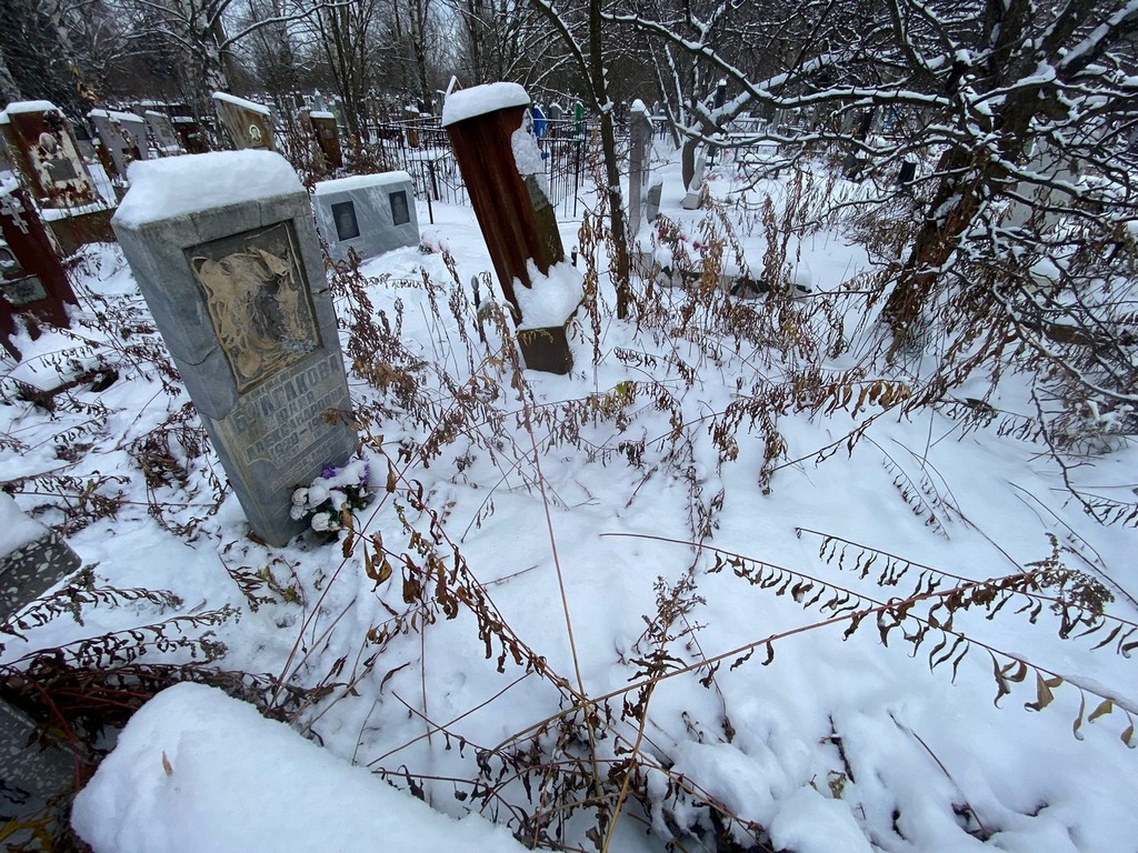 Булгакова Юлия Александровна